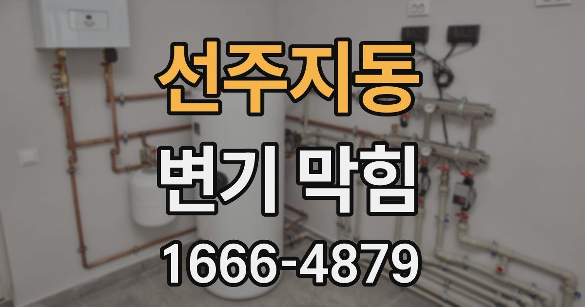 선주지동 변기 막힘
