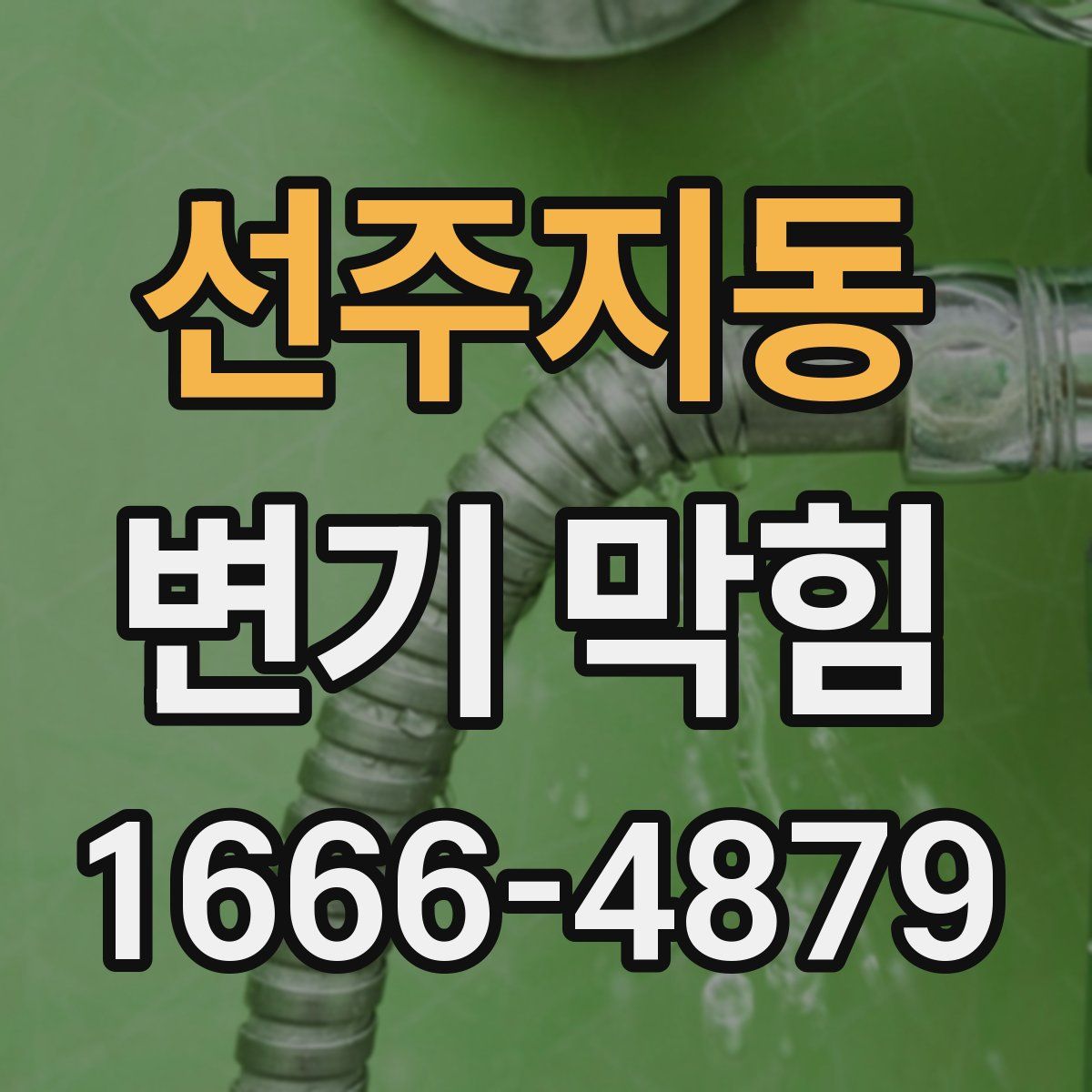 선주지동 변기 막힘