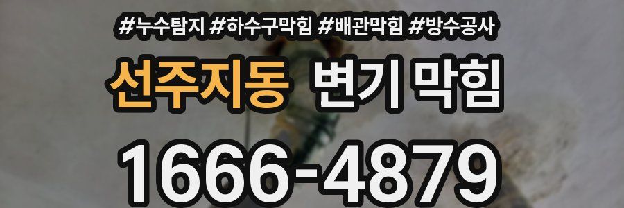 선주지동 변기 막힘