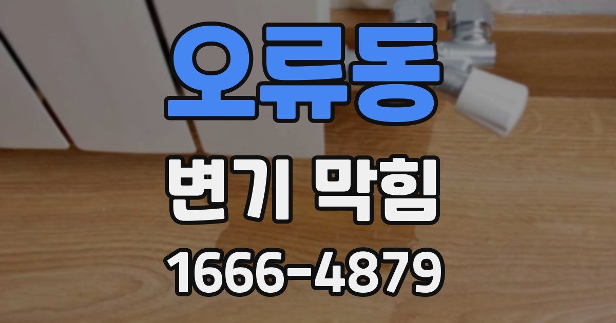 오류동 변기 막힘