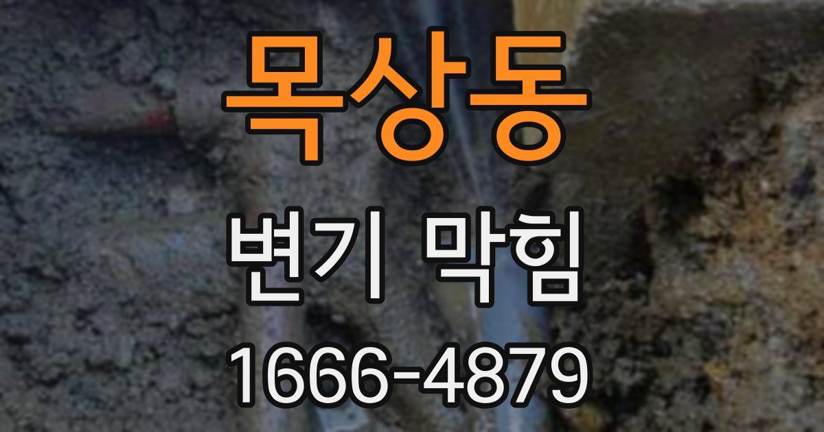 목상동 변기 막힘