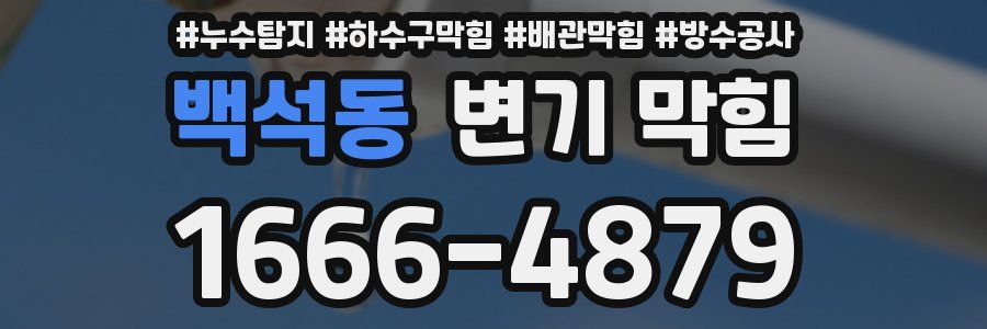 백석동 변기 막힘