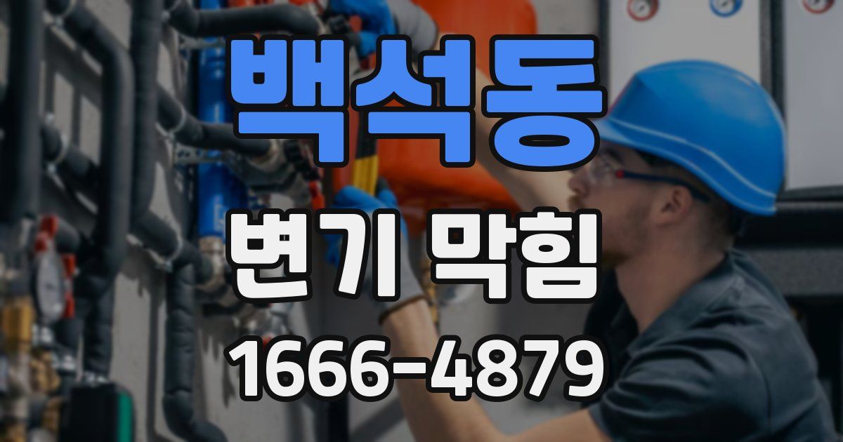 백석동 변기 막힘