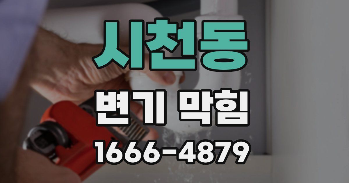 시천동 변기 막힘