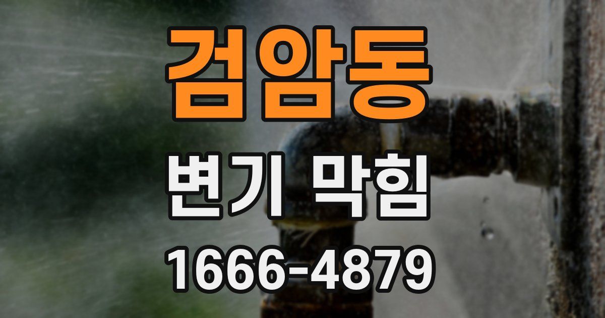 검암동 변기 막힘