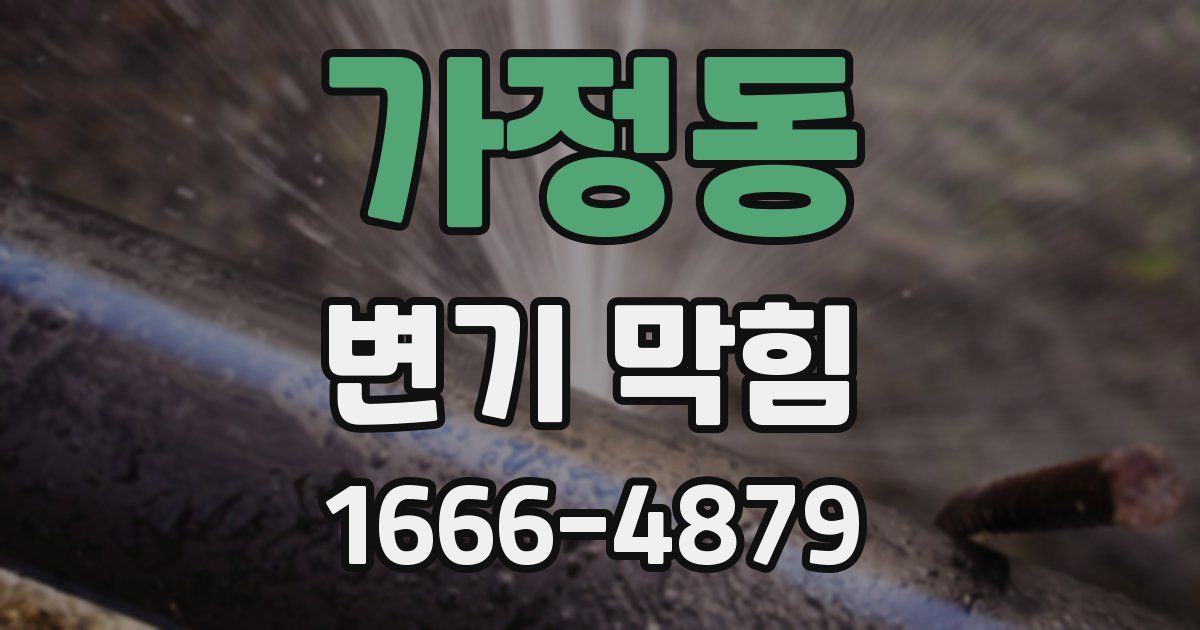 가정동 변기 막힘