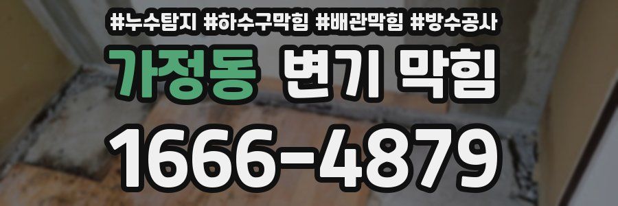 가정동 변기 막힘