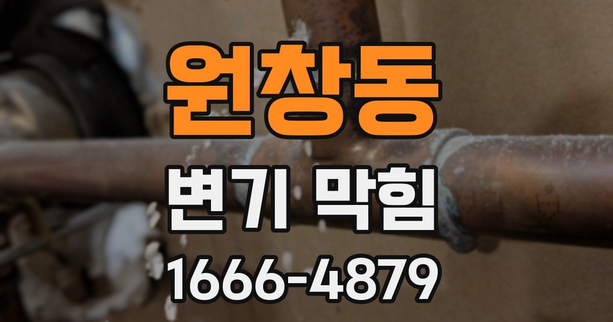 원창동 변기 막힘