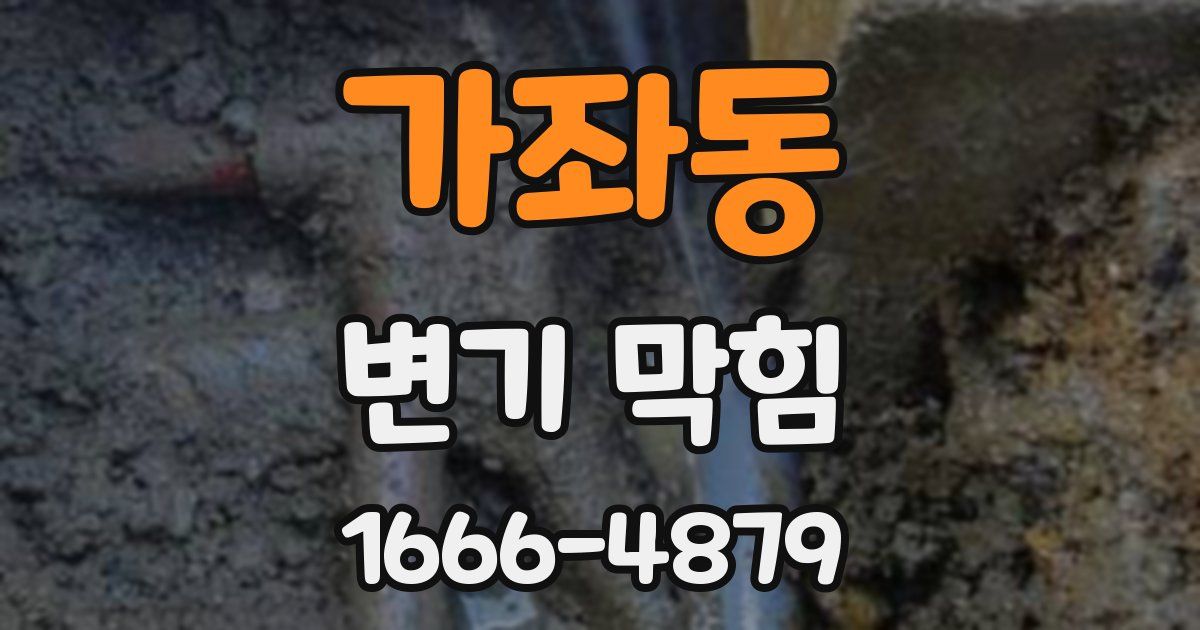 가좌동 변기 막힘