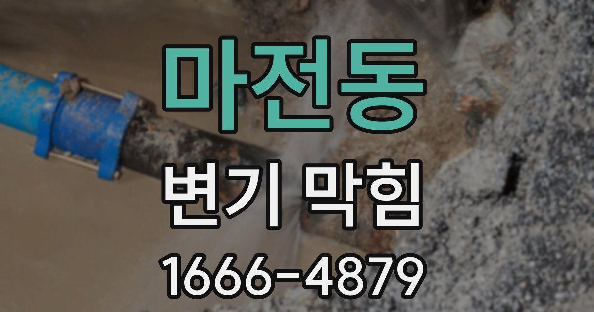 마전동 변기 막힘