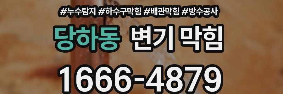 당하동 변기 막힘