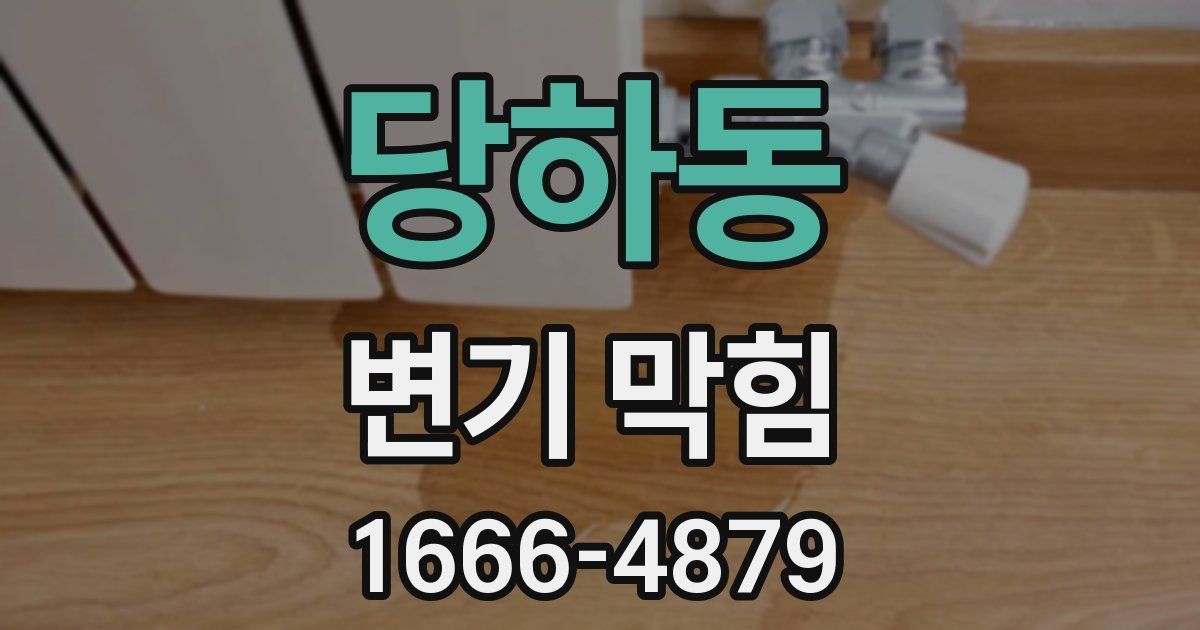 당하동 변기 막힘