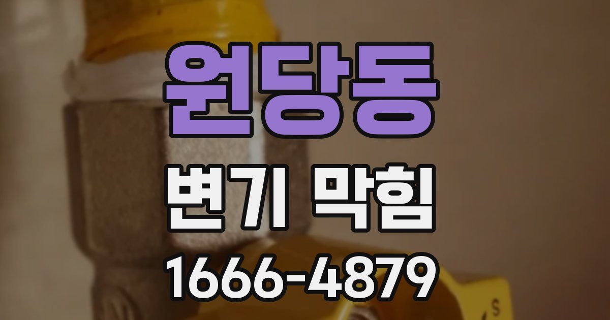 원당동 변기 막힘