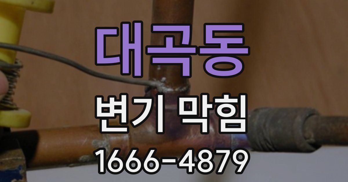 대곡동 변기 막힘