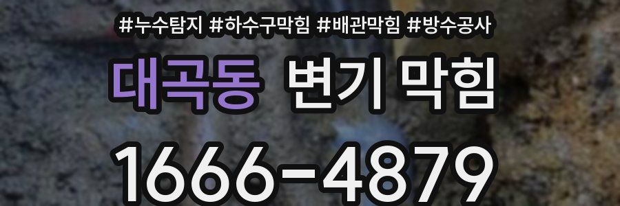 대곡동 변기 막힘