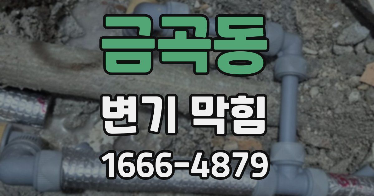금곡동 변기 막힘