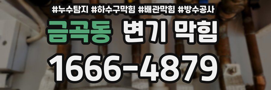 금곡동 변기 막힘
