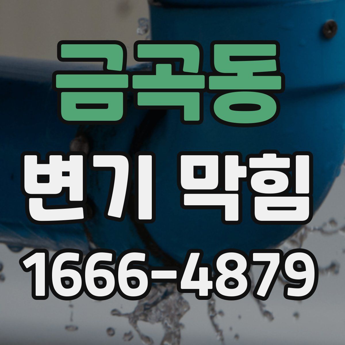 금곡동 변기 막힘