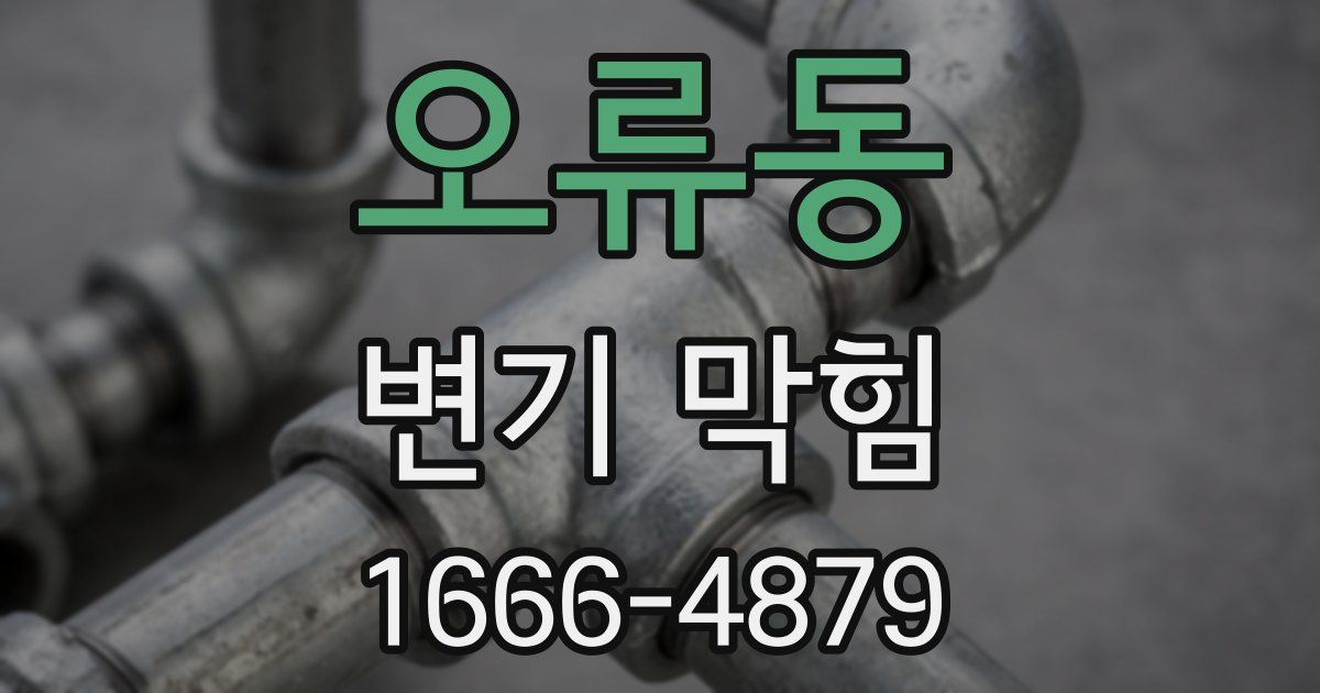 오류동 변기 막힘
