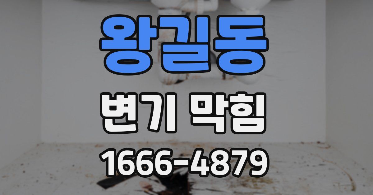 왕길동 변기 막힘