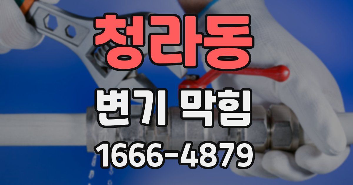 청라동 변기 막힘