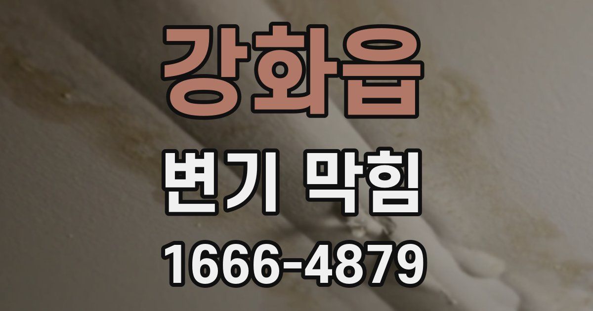 강화읍 변기 막힘