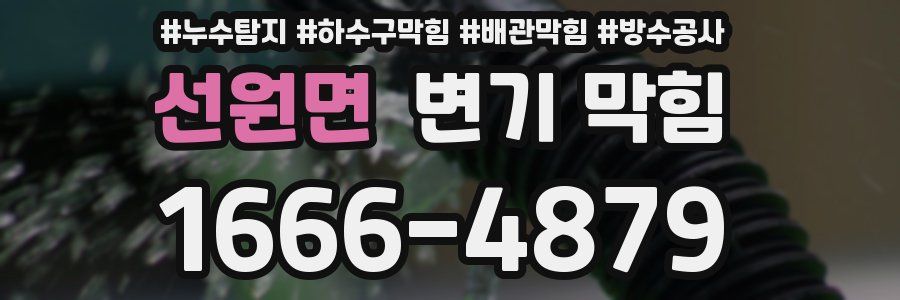 선원면 변기 막힘