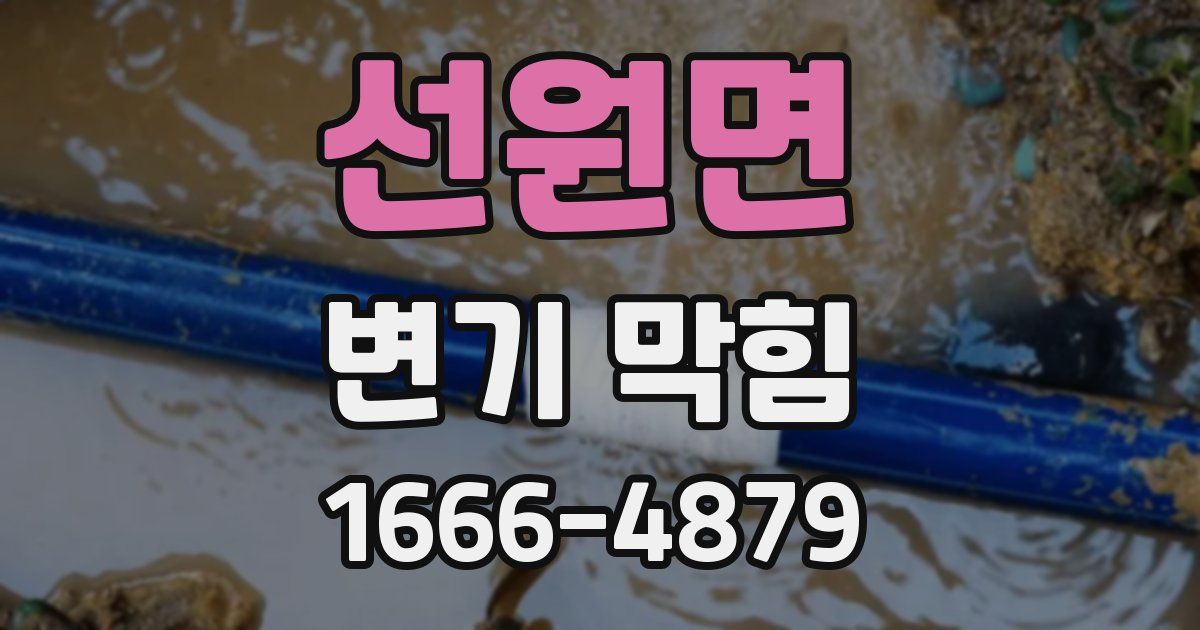 선원면 변기 막힘