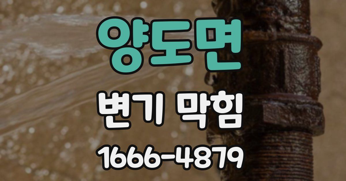 양도면 변기 막힘