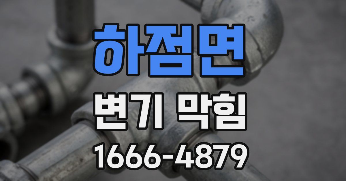 하점면 변기 막힘