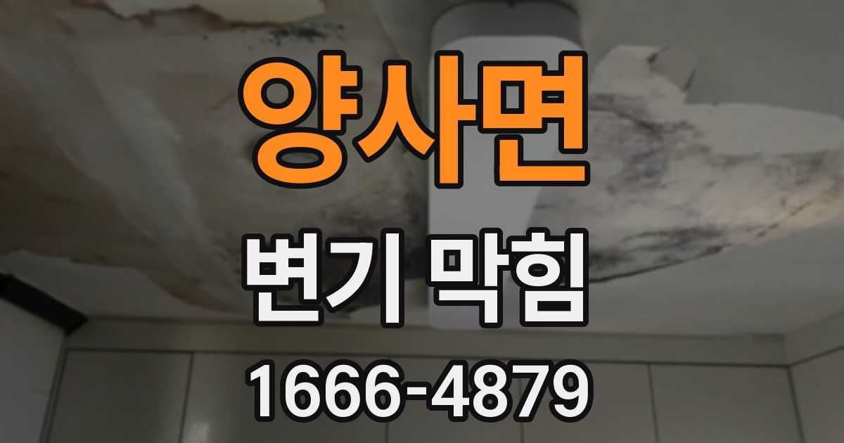 양사면 변기 막힘