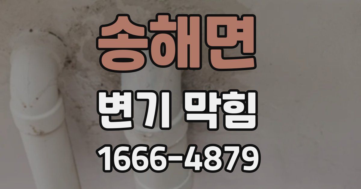 송해면 변기 막힘