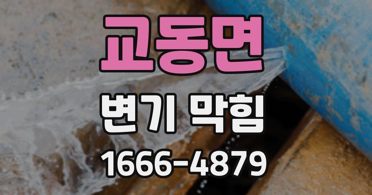 교동면 변기 막힘
