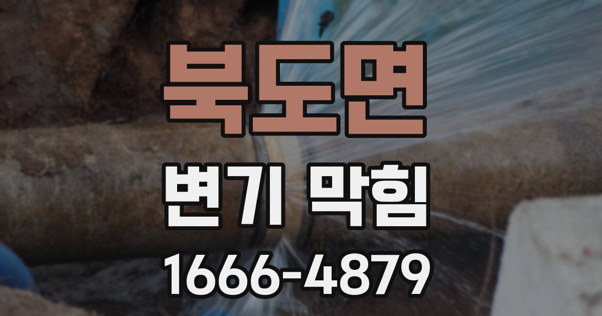 북도면 변기 막힘