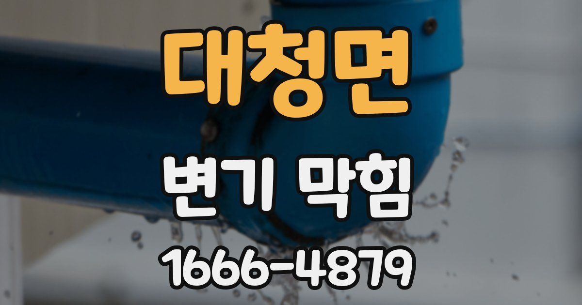 대청면 변기 막힘