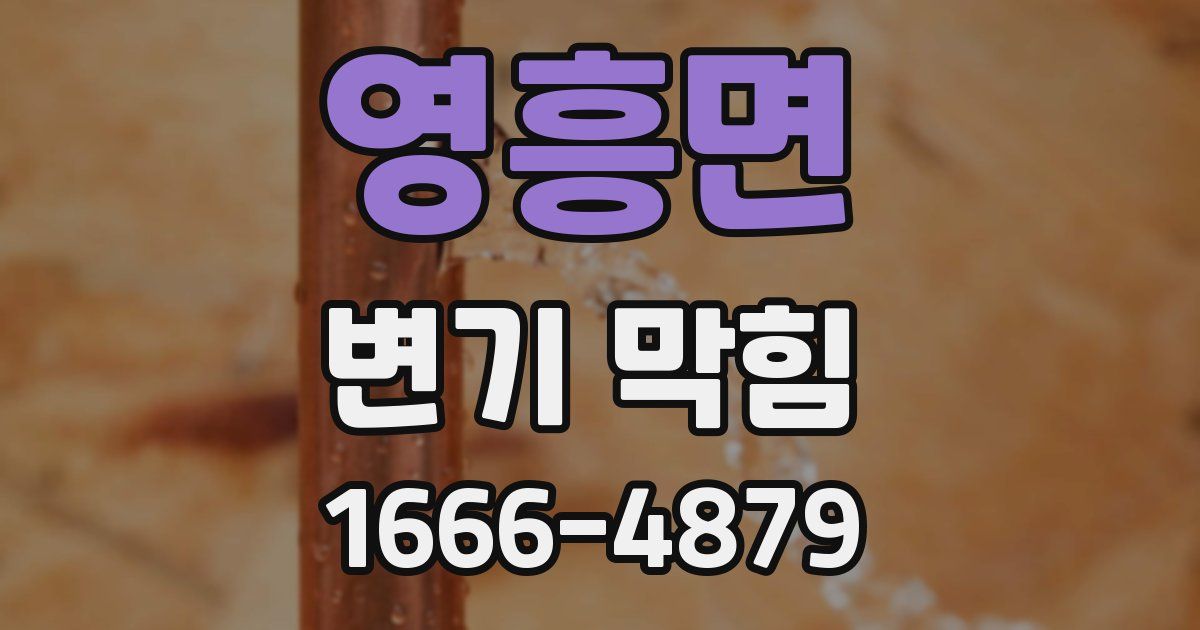 영흥면 변기 막힘