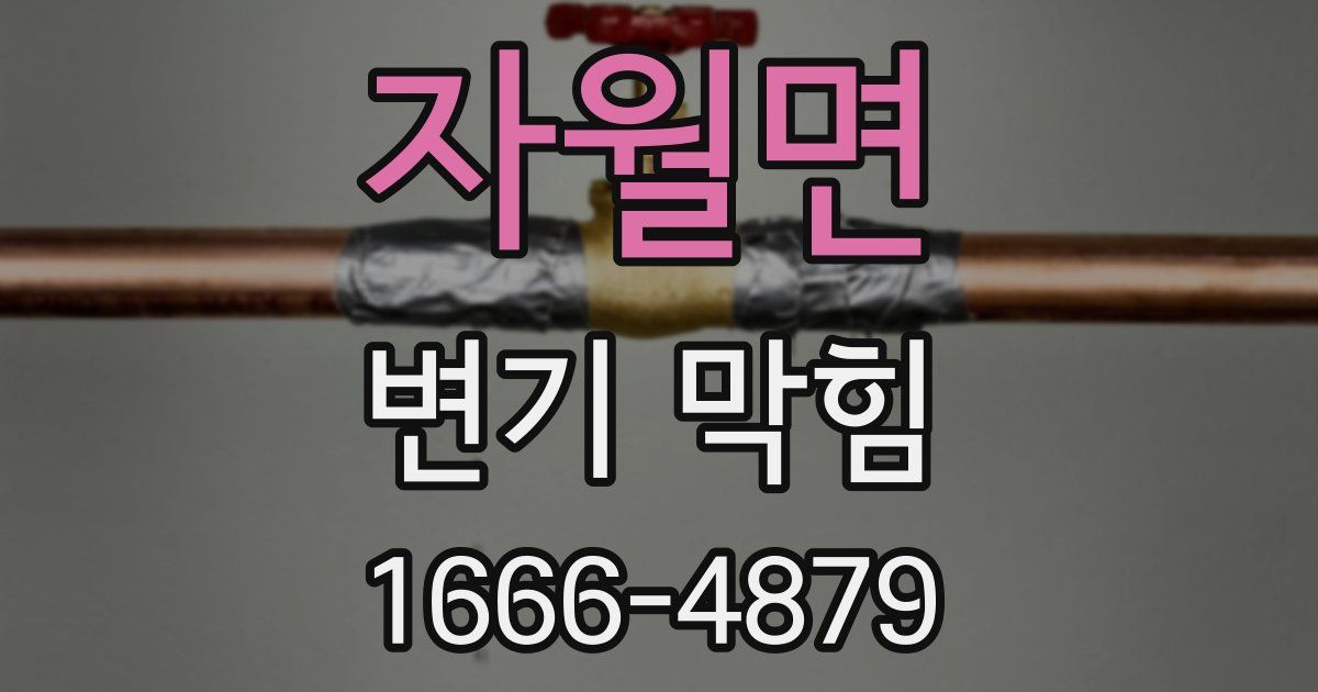 자월면 변기 막힘
