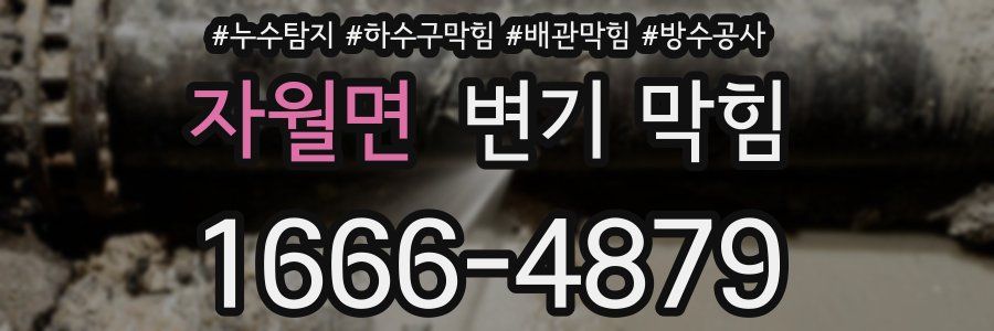 자월면 변기 막힘