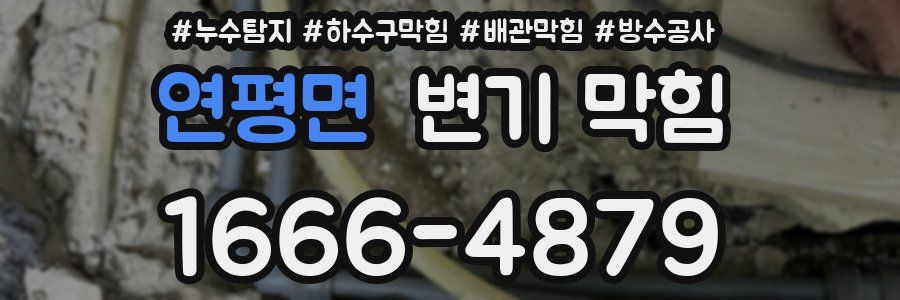 연평면 변기 막힘