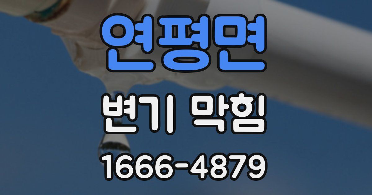 연평면 변기 막힘