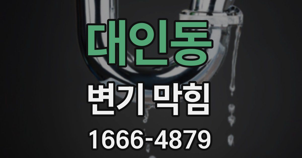 대인동 변기 막힘