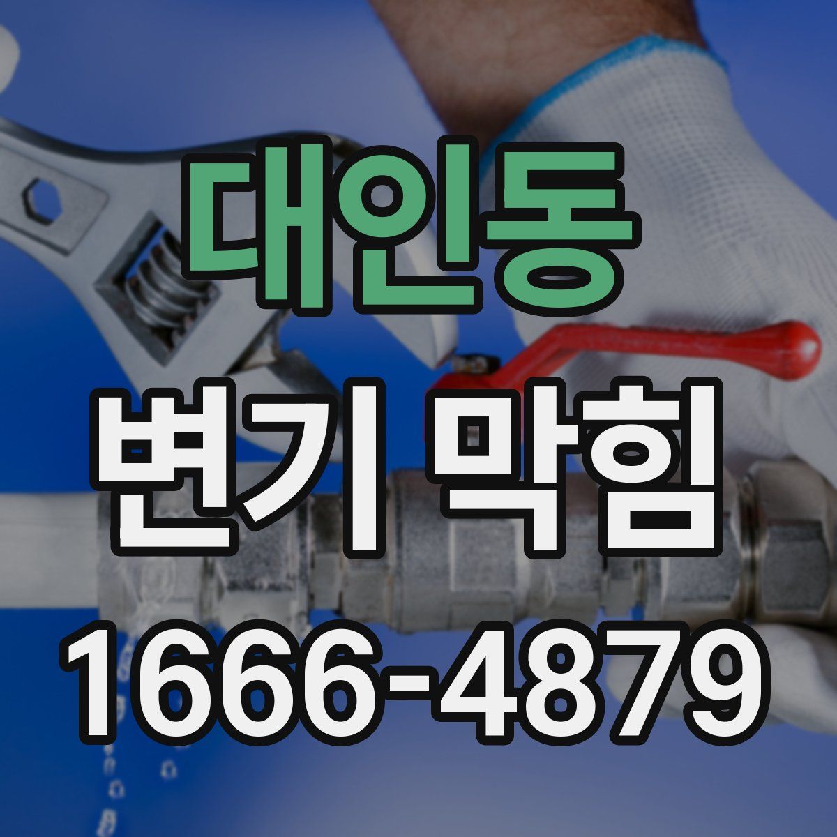 대인동 변기 막힘