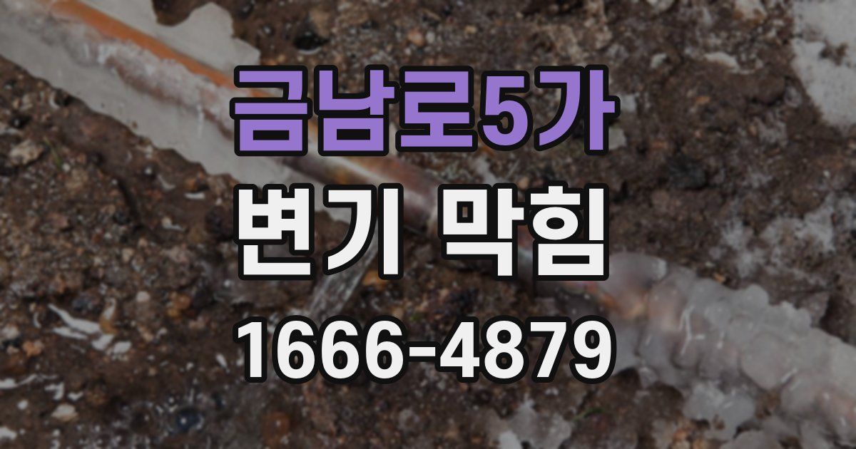 금남로5가 변기 막힘