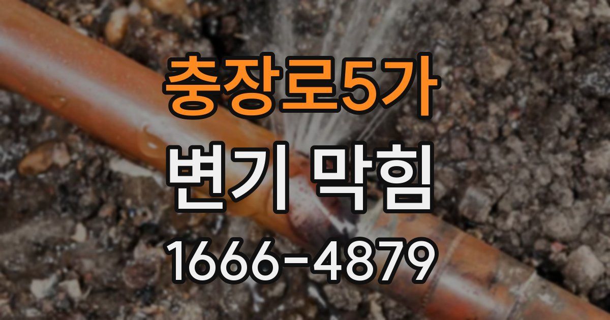 충장로5가 변기 막힘