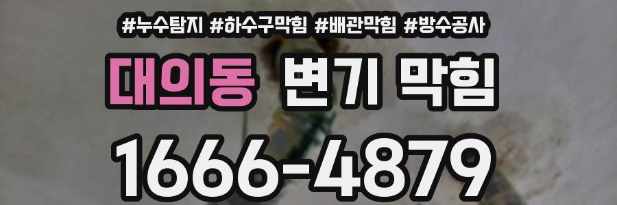 대의동 변기 막힘