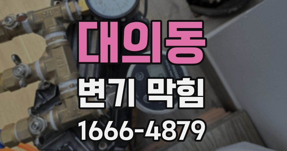 대의동 변기 막힘