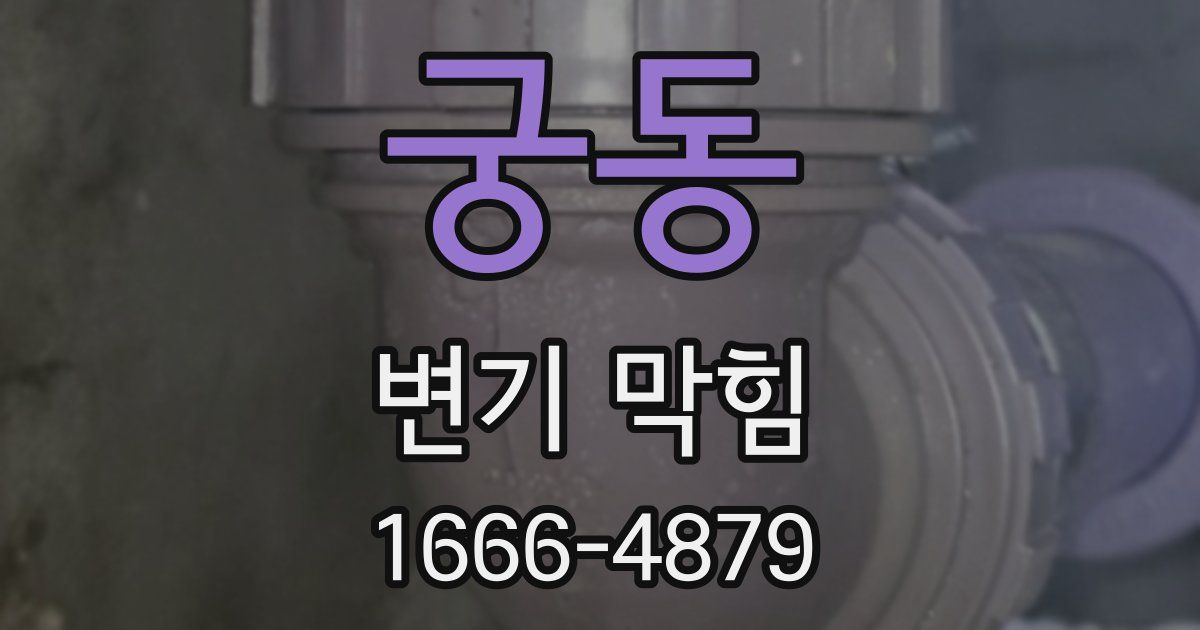 궁동 변기 막힘