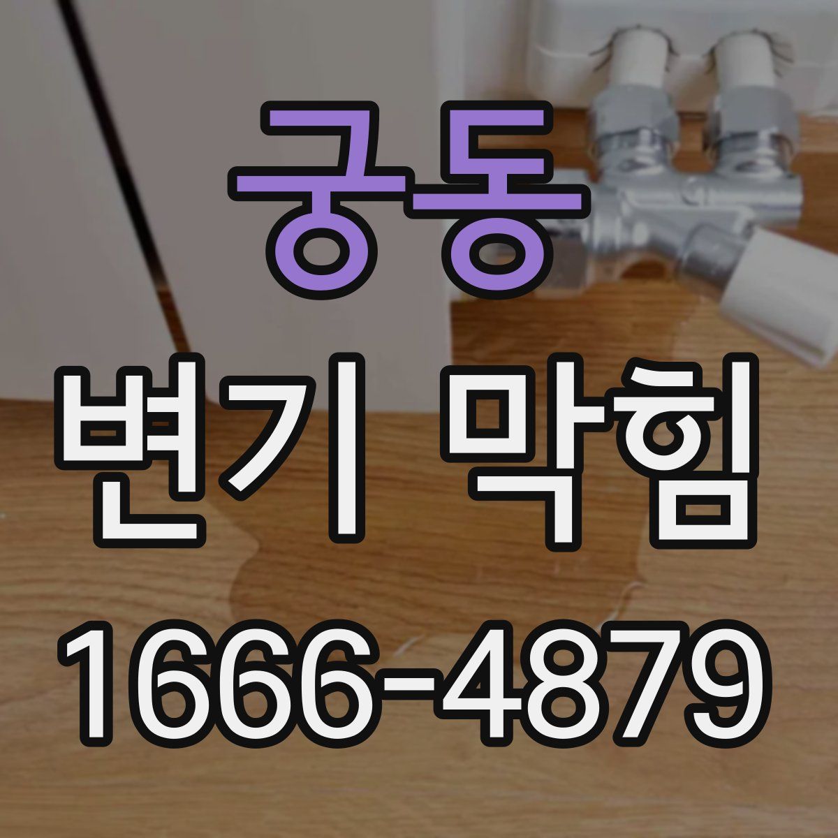 궁동 변기 막힘