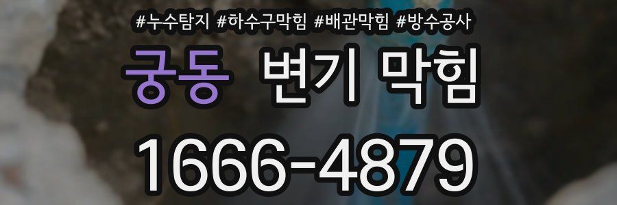 궁동 변기 막힘