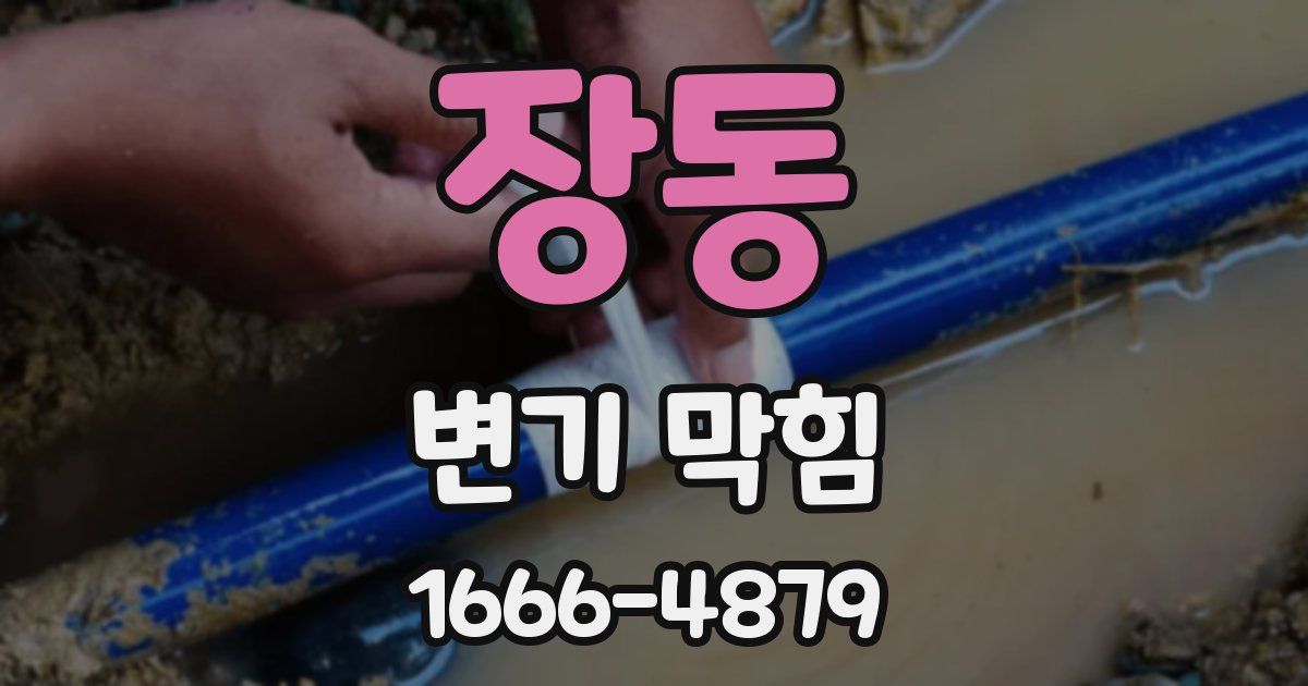 장동 변기 막힘